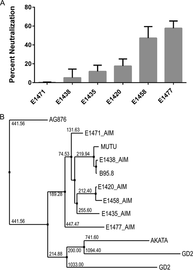 FIG 4