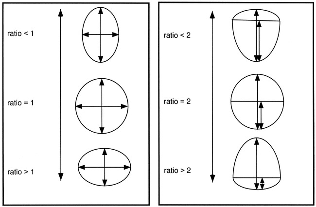 fig 2.