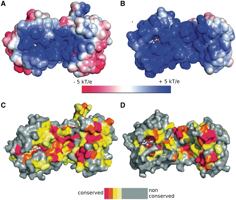 Figure 4.