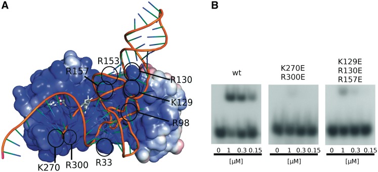 Figure 5.