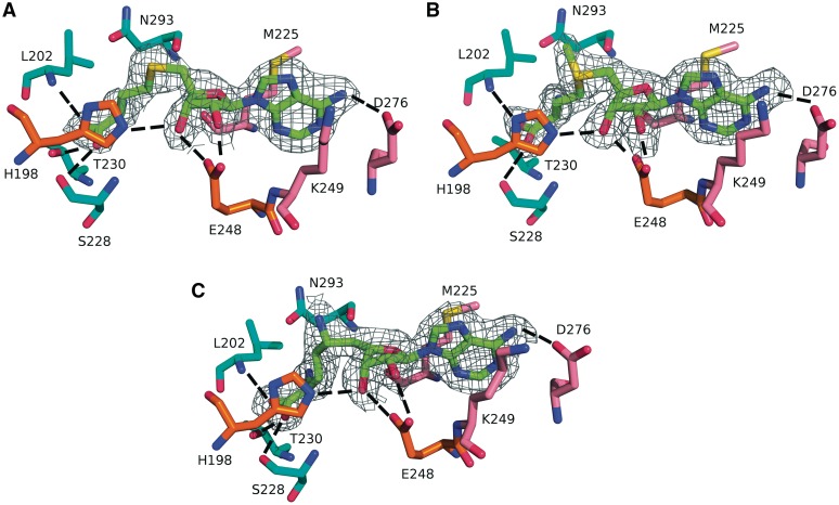 Figure 3.