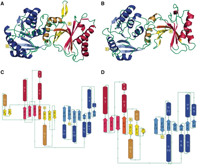 Figure 2.