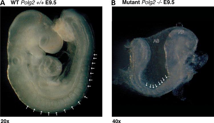 Figure 3.