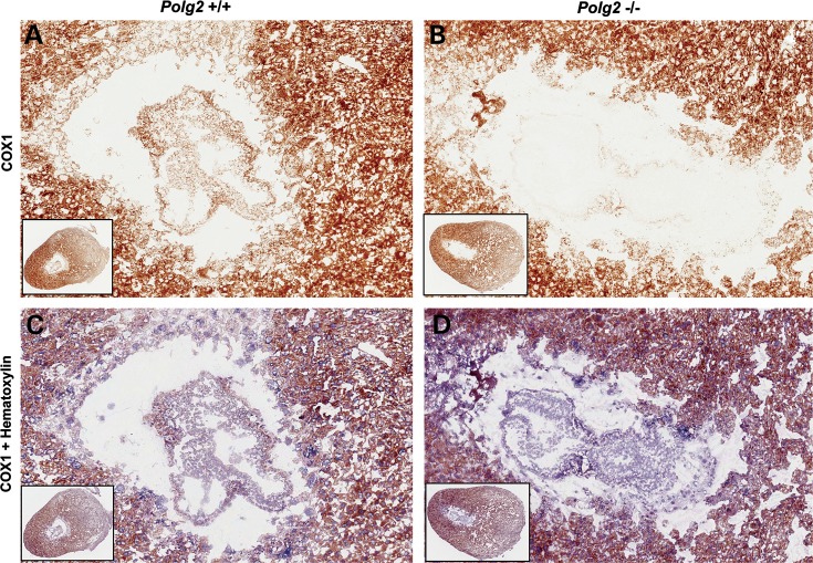 Figure 4.