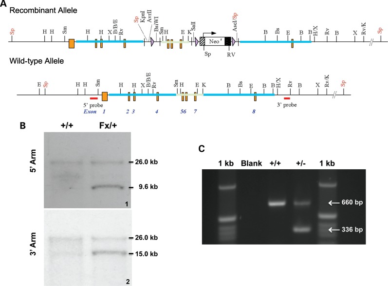 Figure 1.