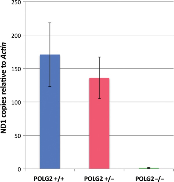 Figure 6.