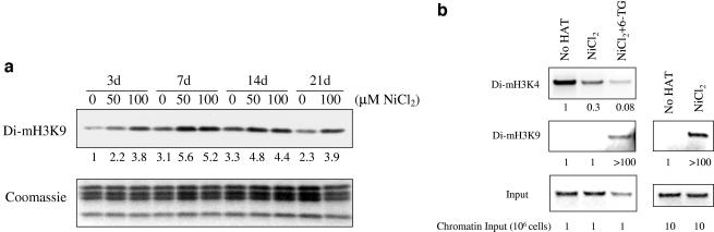 FIG. 7.