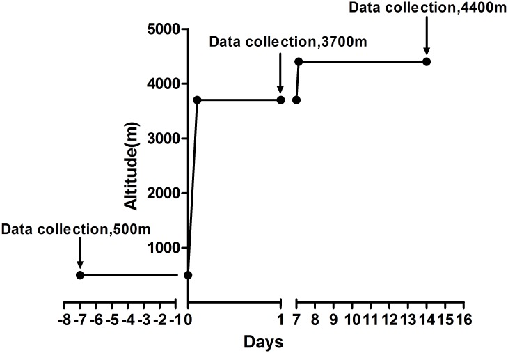 Fig 1