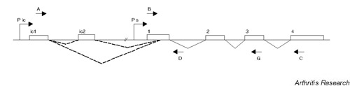 Supplementary Figure 1