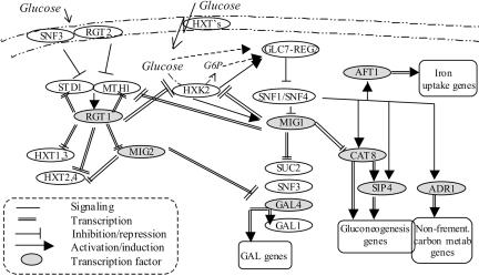 Fig. 3.