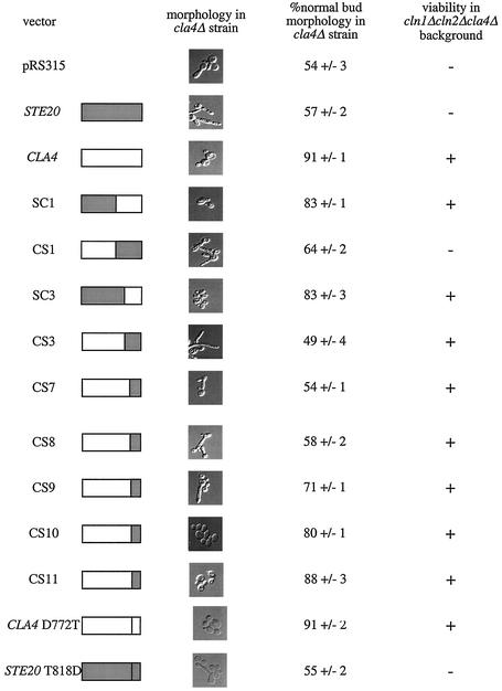 FIG. 7.