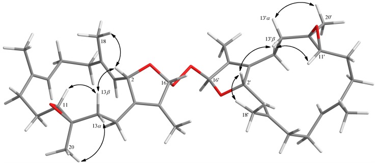 Figure 8