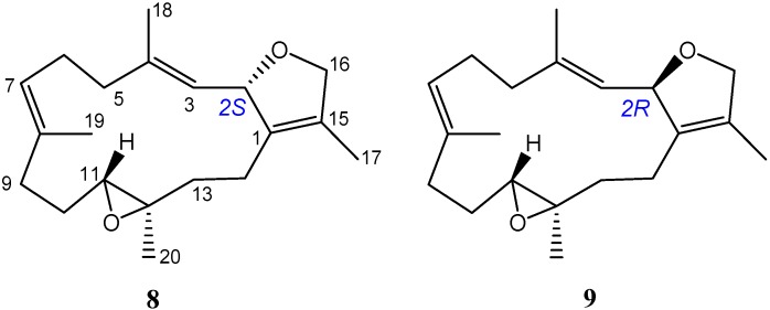 Figure 9