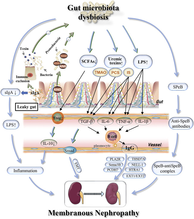 FIGURE 4