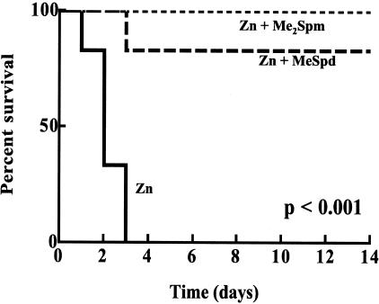 Figure 2-6704