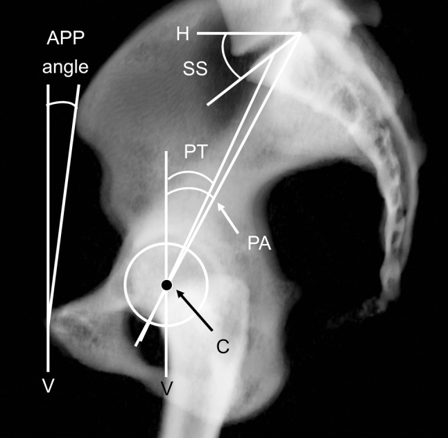 Fig. 1