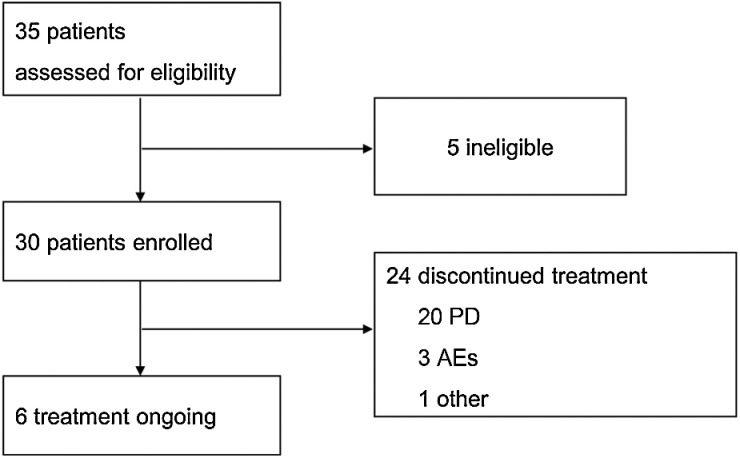 Figure 1. Patient flow.