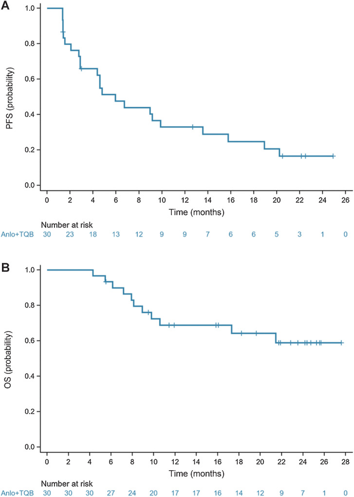 Figure 3. Kaplan–Meier estimates for PFS (A) and OS (B) in all patients.