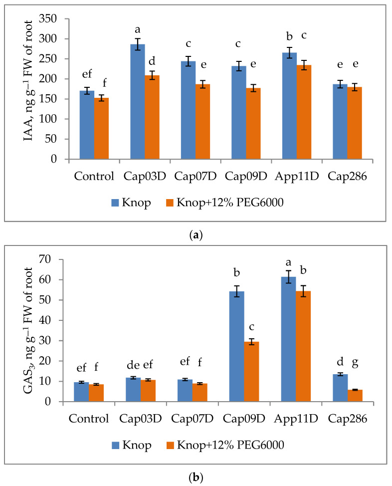 Figure 10