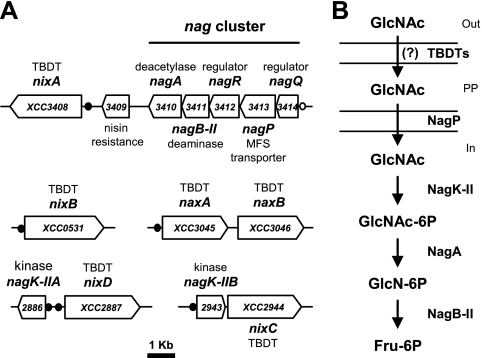 FIG. 1.