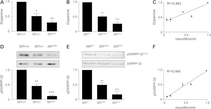 Figure 6.