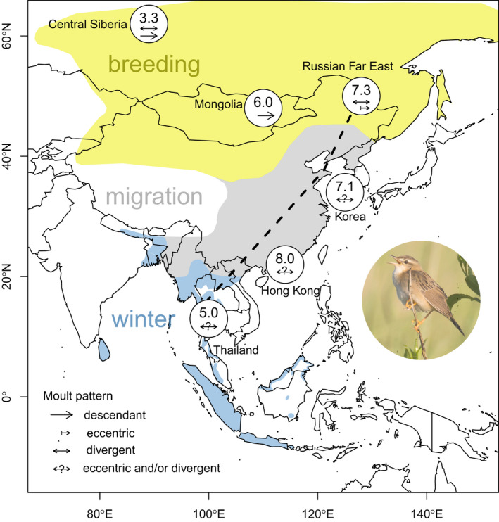 FIGURE 3