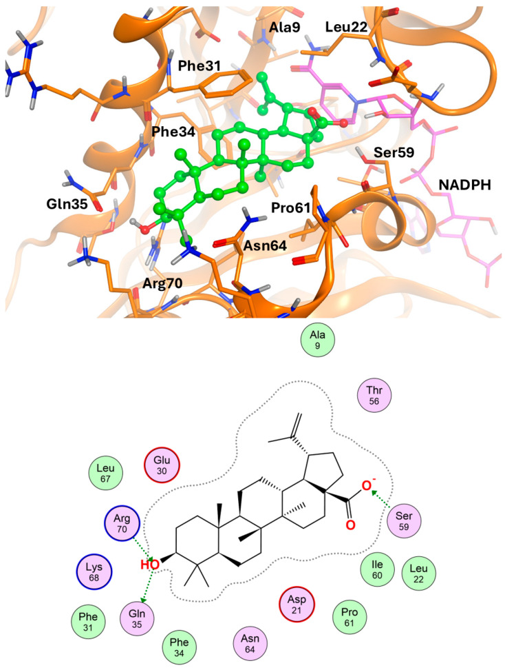 Figure 10