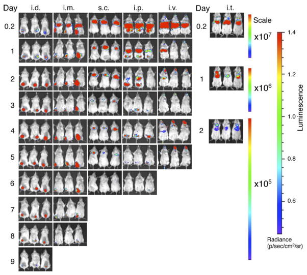 Fig. 2