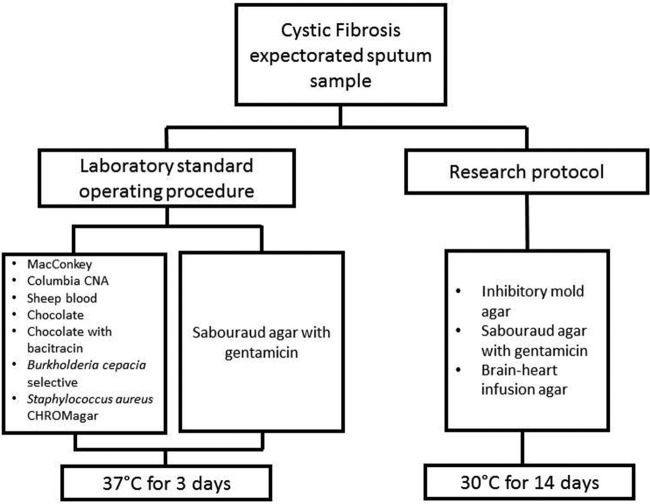 FIG 2