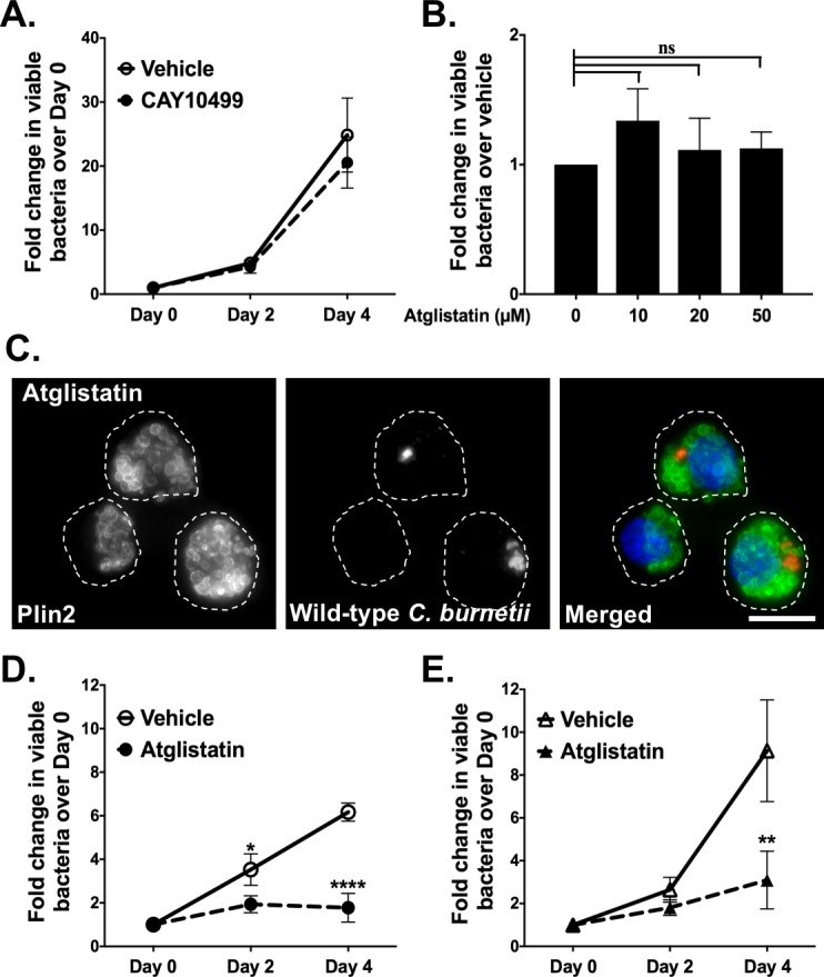 Fig 4