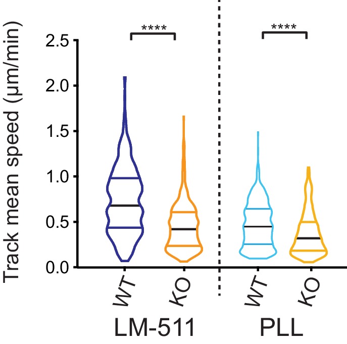 Figure 6—figure supplement 1.