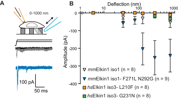 Figure 4.