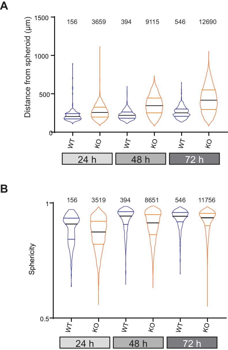 Figure 7—figure supplement 1.