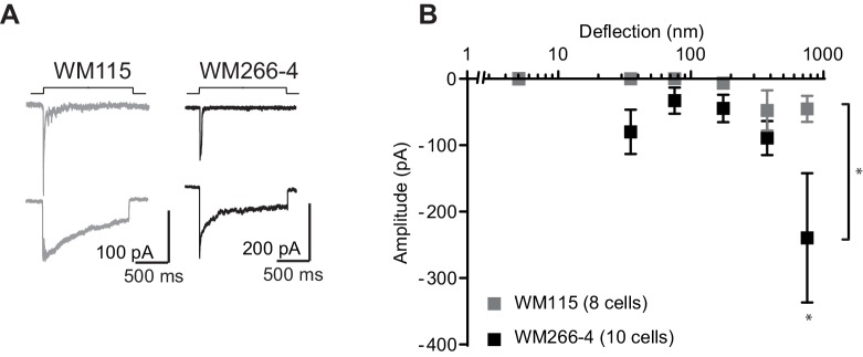 Figure 1—figure supplement 1.