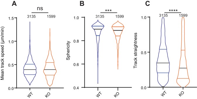 Figure 7—figure supplement 2.