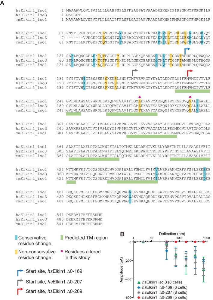 Figure 4—figure supplement 1.