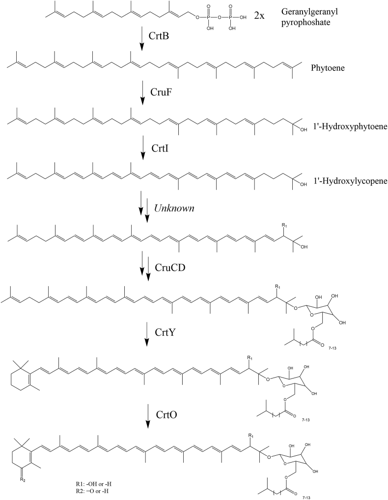 Fig. 1