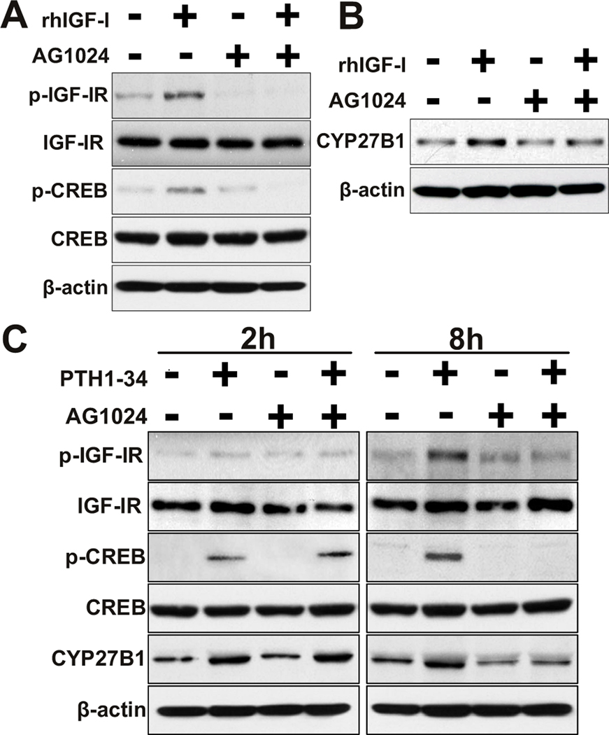 FIG. 7