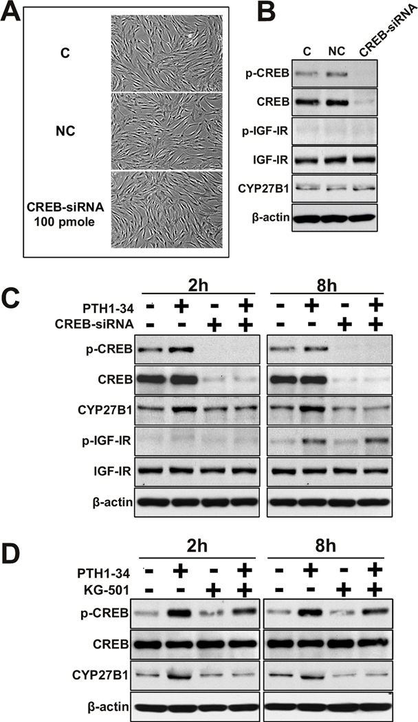 FIG. 5