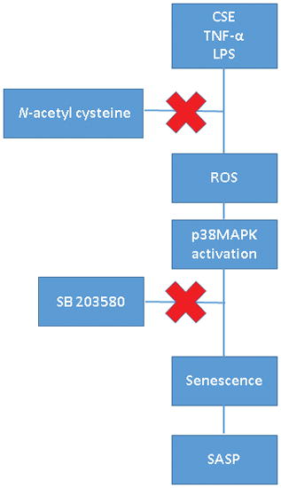 graphic file with name nihms919682u1.jpg