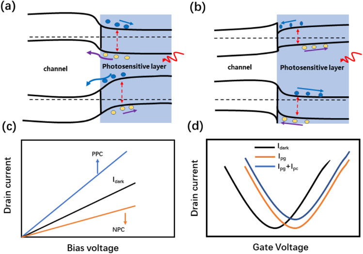 Fig. 13