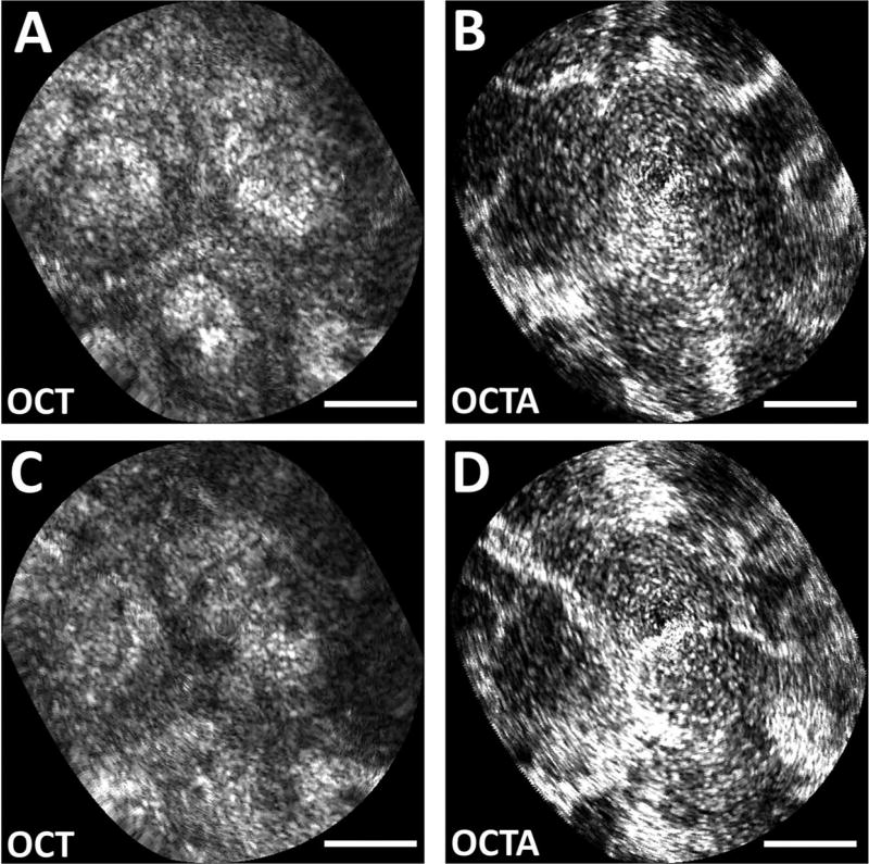 Fig. 5