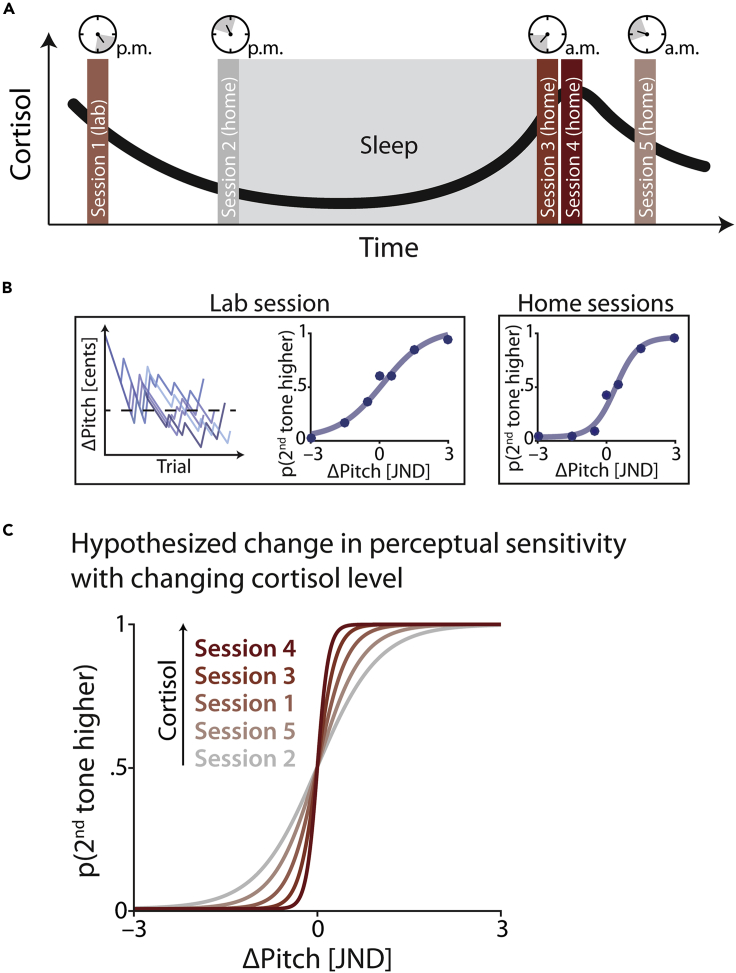 Figure 1