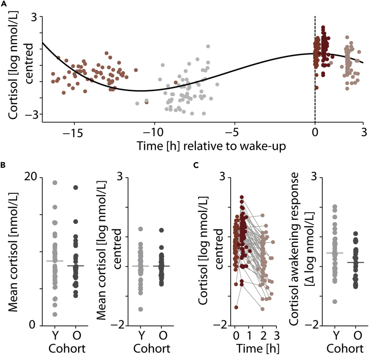 Figure 2