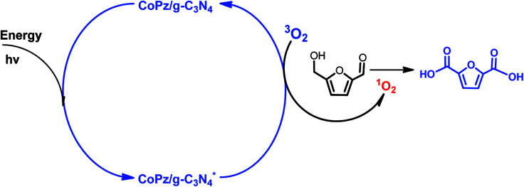 Scheme 4