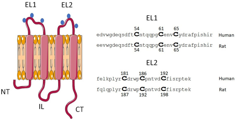 Figure 8