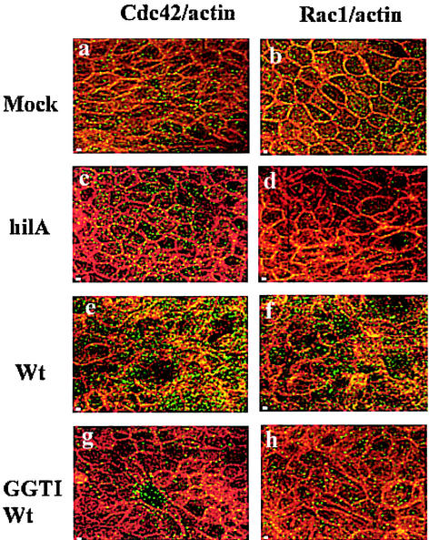 FIG. 7.