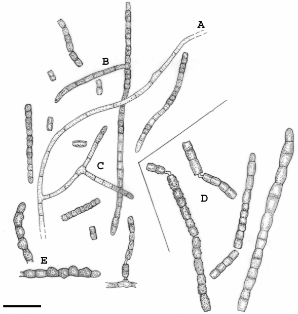 Fig. 6.