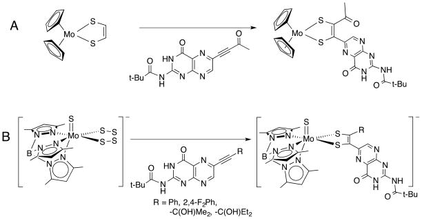 Fig. 10