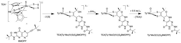 Fig. 11